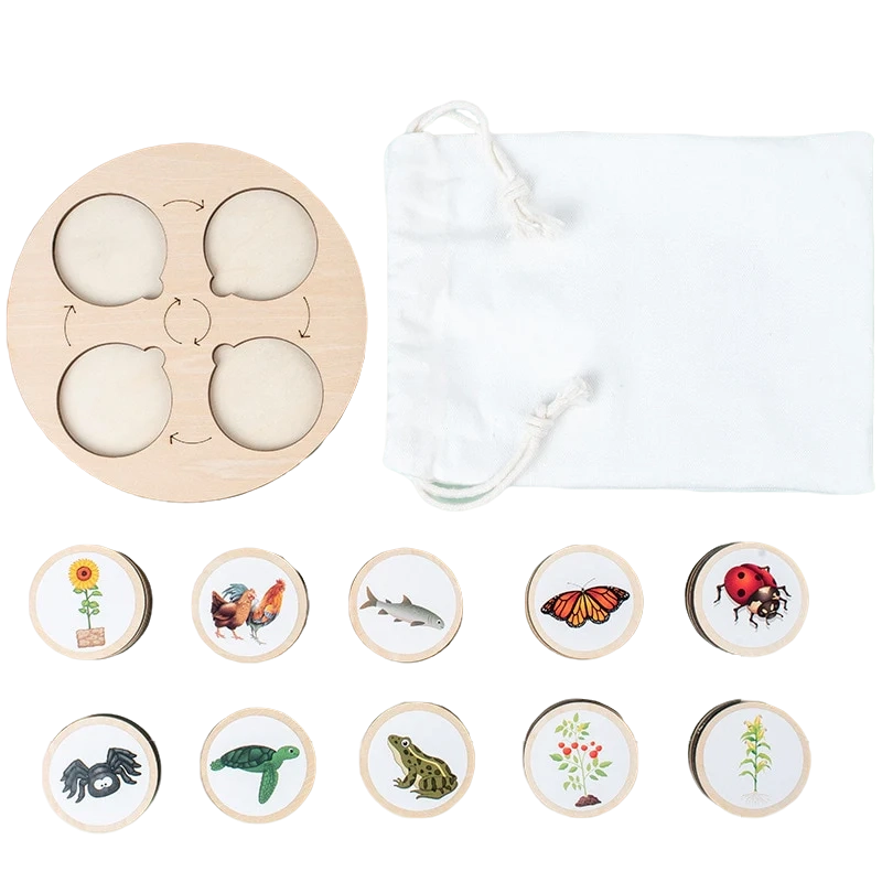 Kit di tavolette per il ciclo di vita